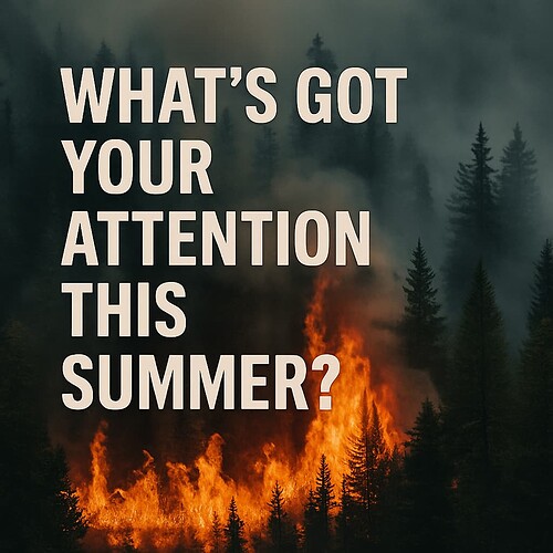 What's Got Your Attention This Summer